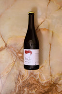 Le Petit Domaine d'Échiat — Vin de France "Procyon" 2024