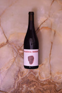 No Control (Vincent Marie) — Vin de France "Magma Rock" 2024