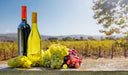 <h1>Vins bio, champagnes et spiritueux <em><br/>soigneusement sélectionnés.</em></h1>